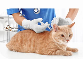 واکسیناسیون گربه