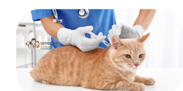 واکسیناسیون گربه