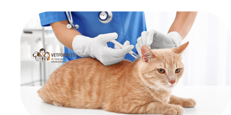 واکسیناسیون گربه