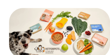 روتین غذایی در سگ‌ها