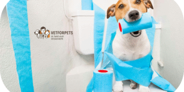 آموزش جای  دستشویی به سگ ها