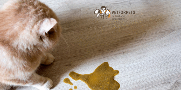 استفراغ گربه‌ها