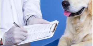 چگونه سگ‌مان را برای اولین بار به دامپزشک ببریم؟