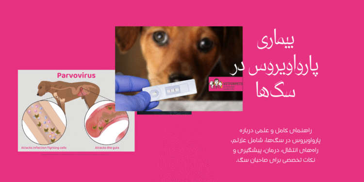 بیماری پارواویروس در سگها