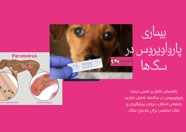 بیماری پارواویروس در سگ‌ها