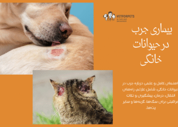 جرب در حیوانات خانگی