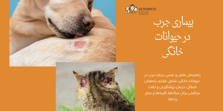 جرب در حیوانات خانگی