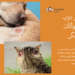 جرب در حیوانات خانگی