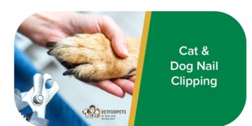 کوتاه کردن ناخن‌های گربه و سگ