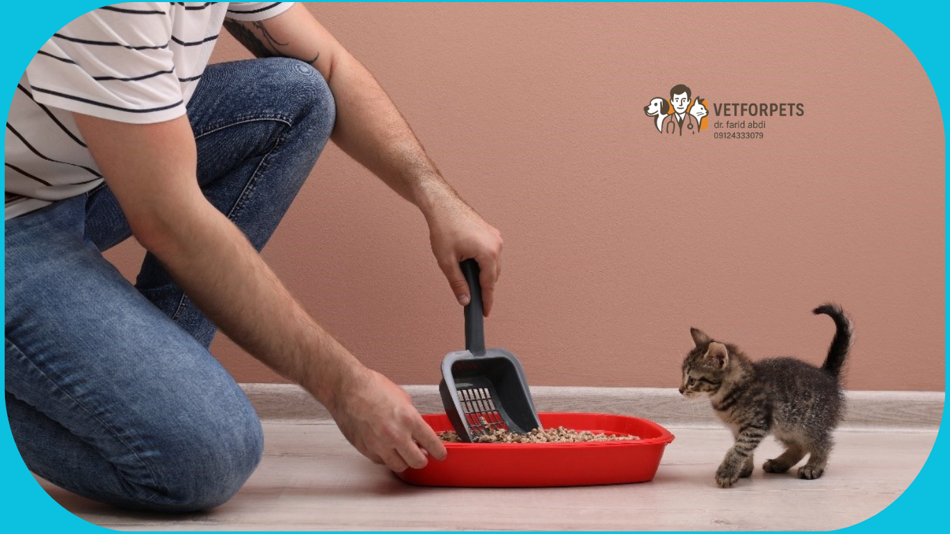 لوازم بهداشتی برای <span style='color: #4a90e2;'>وسایل ضروری گربه</span>