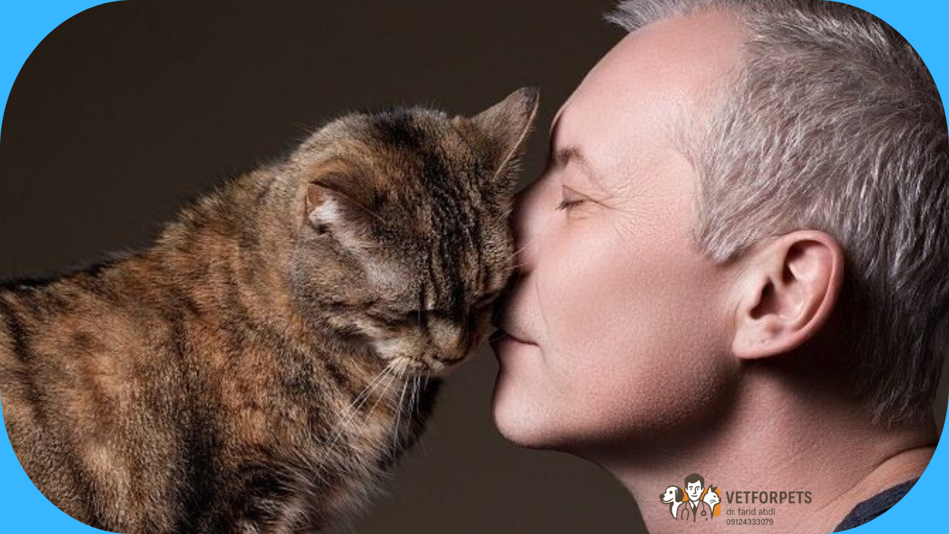 بیماریهای مشترک انسان و گربه