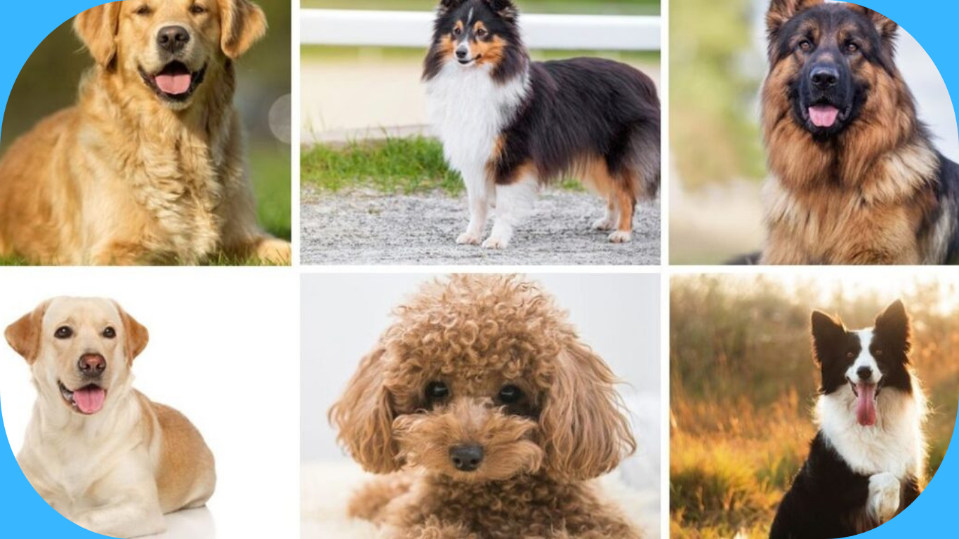 سگ برای کودکان