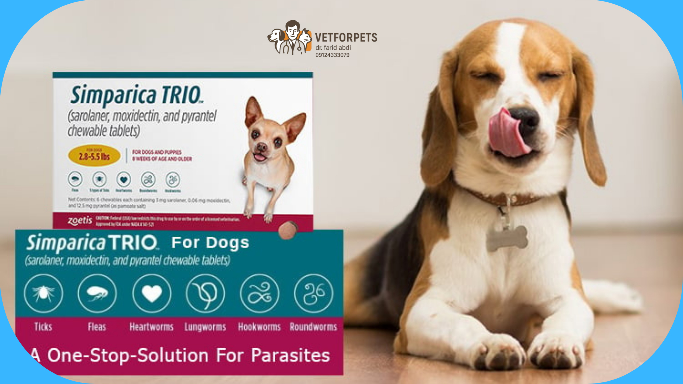 قرص انگل حیوانات خانگی