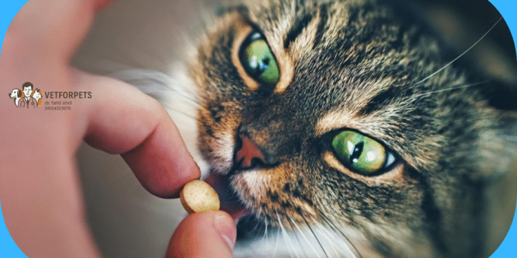 قرص انگل حیوانات خانگی