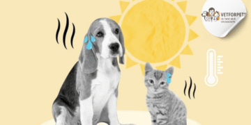 گرمازدگی در سگ‌ها و گربه‌ها