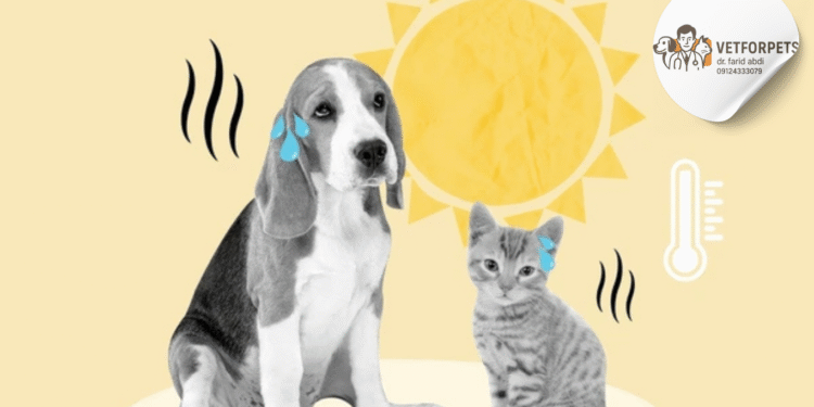 گرمازدگی در سگ‌ها و گربه‌ها
