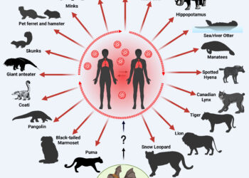 بیماریهای مشترک انسان و گربه