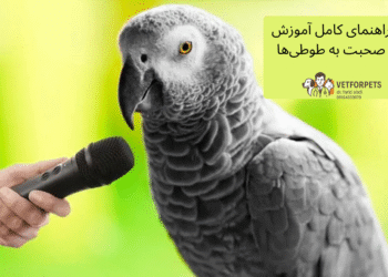 آموزش صحبت به طوطی