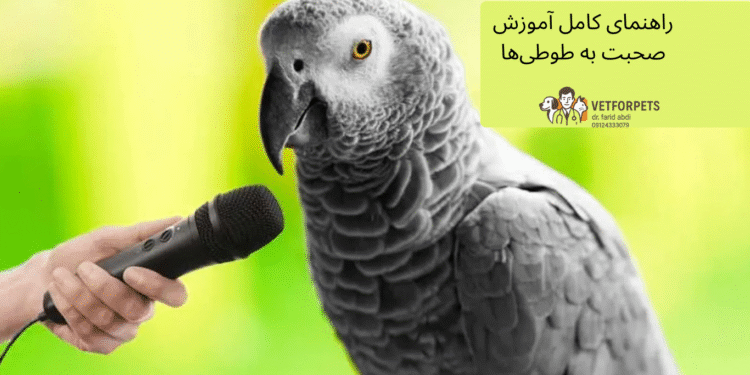 آموزش صحبت به طوطی