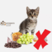 غذاهای مضر برای گربه
