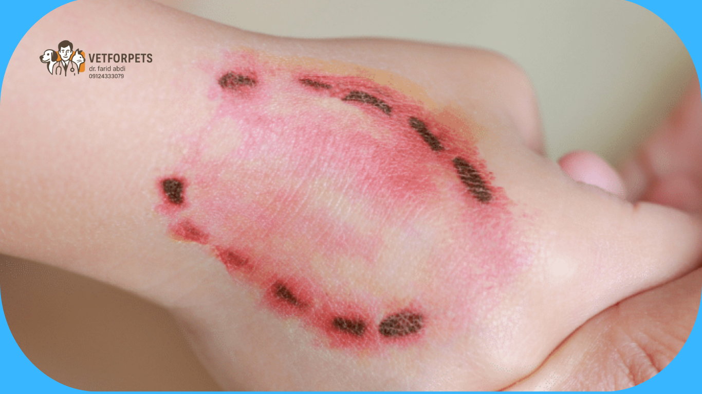 هاری ناشی از گازگرفتگی حیوان خانگی