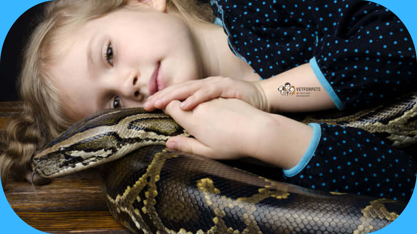 مار های خانگی