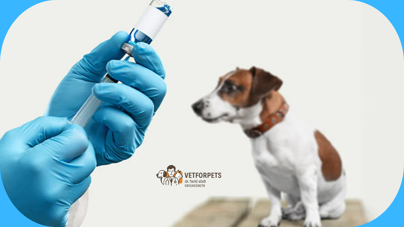 هاری ناشی از گازگرفتگی حیوان خانگی