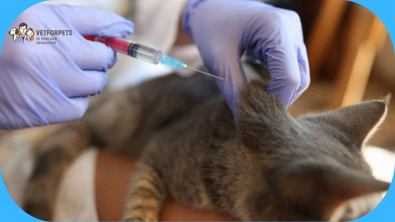 هاری ناشی از گازگرفتگی حیوان خانگی