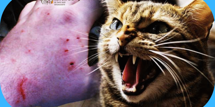 هاری ناشی از گازگرفتگی حیوان خانگی