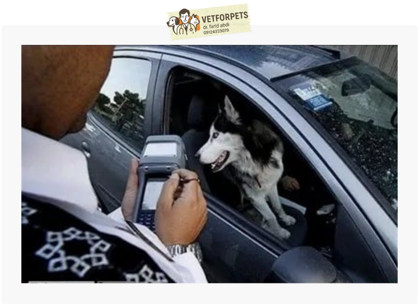 جریمه بابت سگگردانی