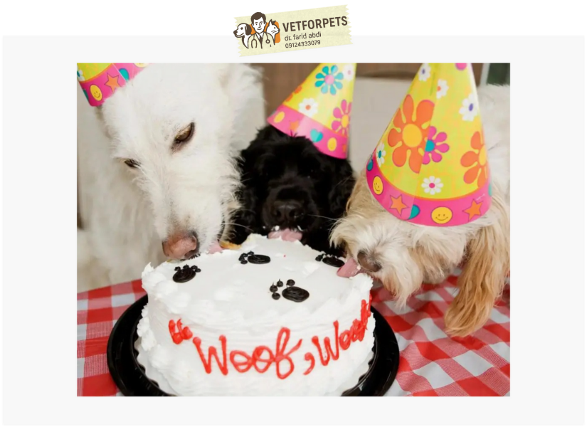 کیک و خوراکی برای جشن تولد حیوان خانگی