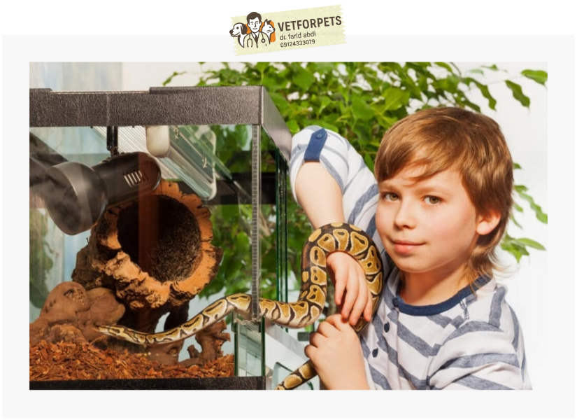 نگهداری مار در خانه