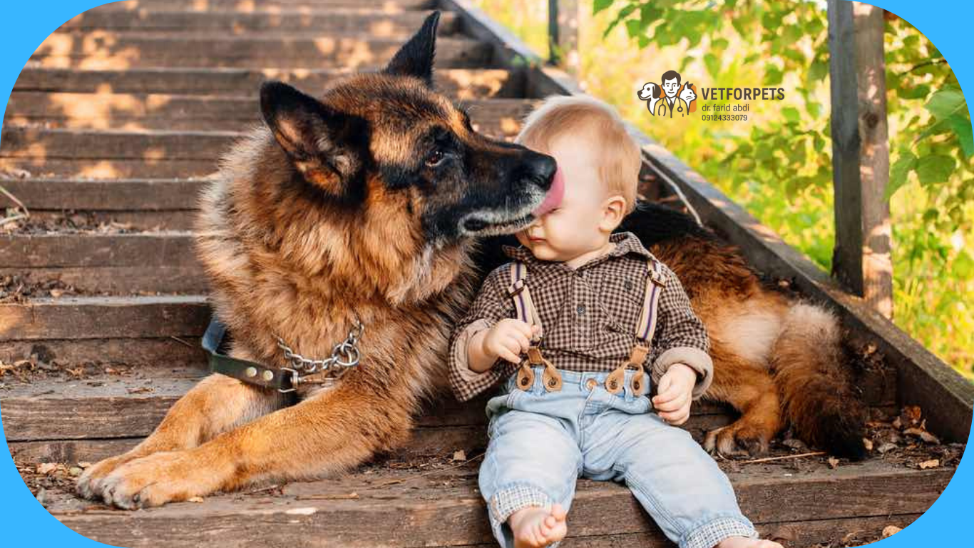 رفتار ژرمن شپرد با کودکان