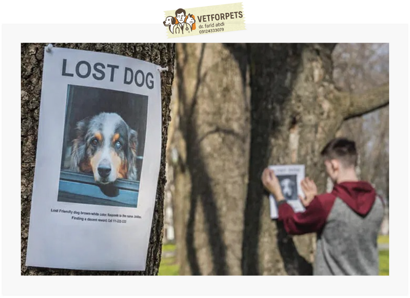 ثبت و انتشار اطلاعات حیوان گمشده