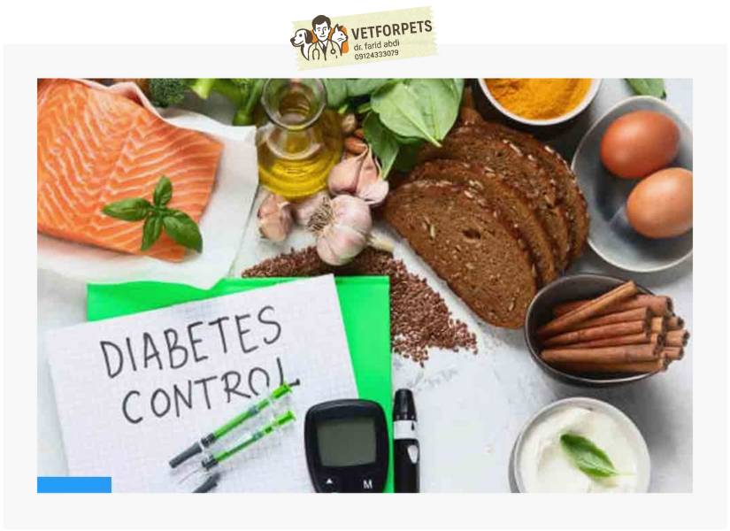 رژیم غذایی برای کنترل و پیشگیری دیابت در گربها