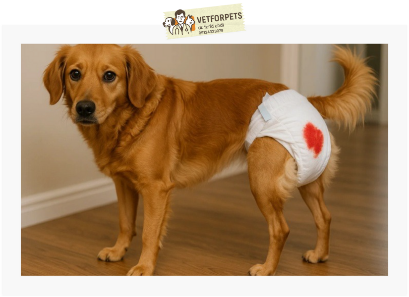 پریود در سگ های ماده