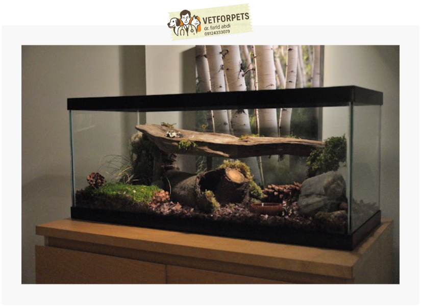 تراریوم مخصوص نگهداری مار