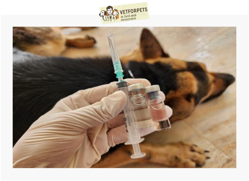 واکسیناسیون سگ