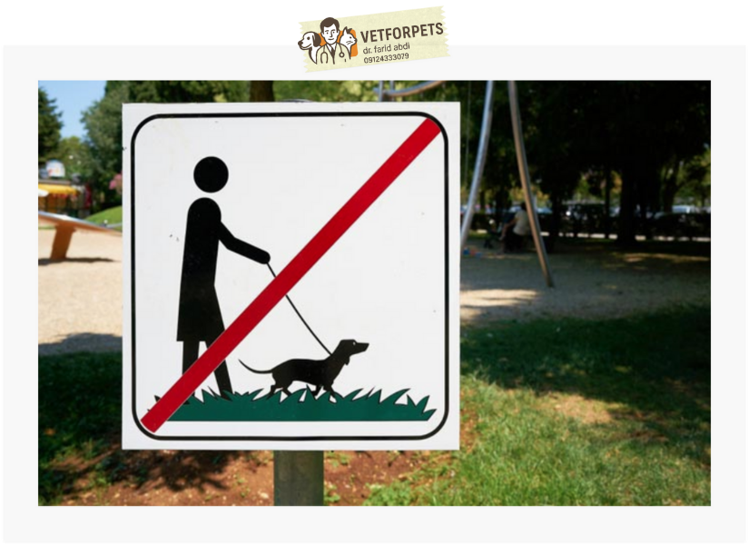 ممنوعیت سگگردانی