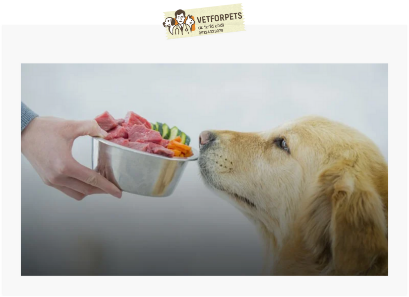 غذای سبک و مغذی بعد از واکسیناسیون بسیار مهم است