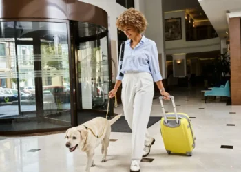 لیست بهترین هتلهای پت فرندلی در ایران