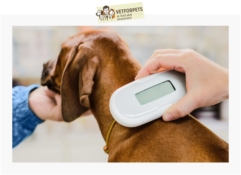 اسکن میکروچیپ