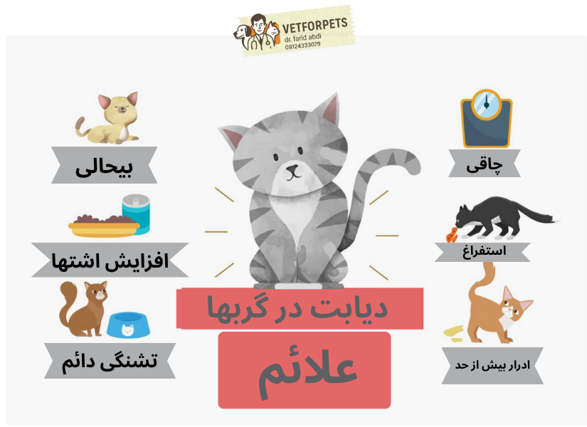 علائم دیابت در گربها