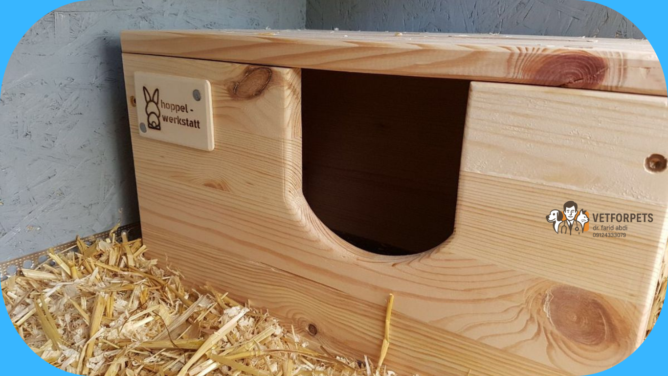 لانه برای زایمان خرگوش