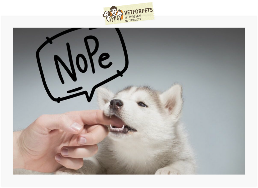 فرمان نه  هنگام گاز گرفتن توله سگ ها 