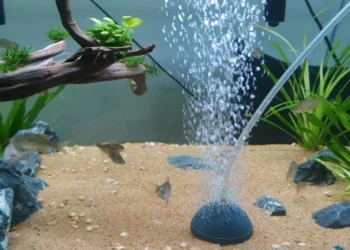 سنگ هوا آکواریوم