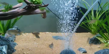 سنگ هوا آکواریوم