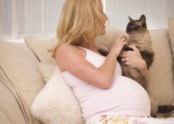 موی گربه و نازایی