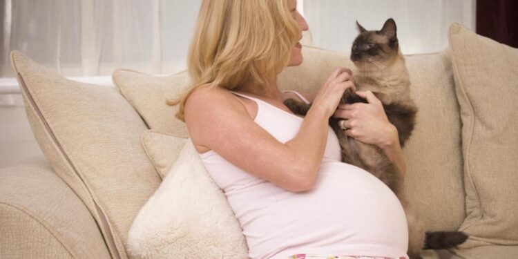 موی گربه و نازایی