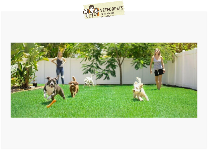 سگگردانی و بازی در محیط خصوصی